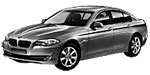 BMW F10 P2481 Fault Code